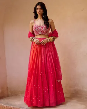 Aries Lehenga Set