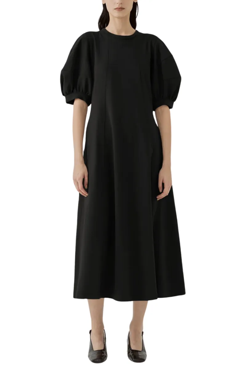 Lantan Sleeve Dress